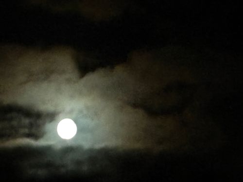 エピローグ　 埼玉県 ソロキャンプ ちろ犬さんのキャンプブログ CAMPiii（キャンピー） -キャンプ専用SNS キャンプのすべてがここに集まる-