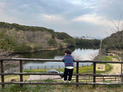 少し早いお花見キャンプ MOUNT LAKE ファミリーキャンプ 区画サイト オートサイト ヨスケサンバジャロさんのキャンプブログ CAMPiii（キャンピー） -キャンプ専用SNS キャンプのすべてがここに集まる-