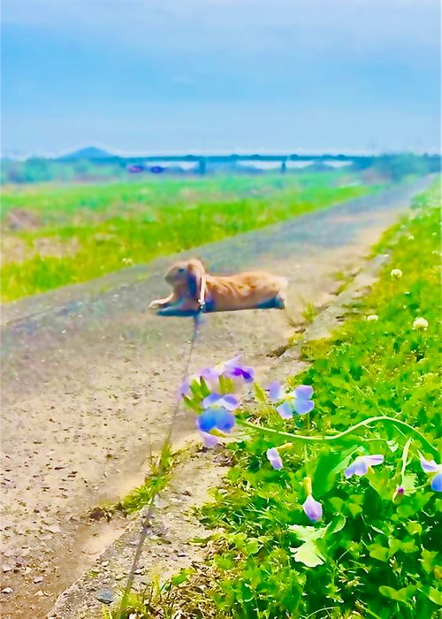 なーんもしないマッタリおじうさキャン△ in ゆうゆう広場 〜 CAMP NO.185 ゆうゆう広場 ソロキャンプ ファミリーキャンプ フリーサイト 区画サイト おじキャン△さんのキャンプブログ CAMPiii（キャンピー） -キャンプ専用SNS キャンプのすべてがここに集まる-