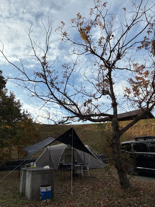 2025年16回目、温泉巡りキャン😆 菰沢(こもさわ)公園 オートキャンプ場 ファミリーキャンプ 区画サイト オートサイト わいげさんのキャンプブログ CAMPiii（キャンピー） -キャンプ専用SNS キャンプのすべてがここに集まる-