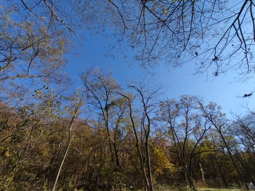 11月キャンプ⛺️スタート😁 武甲キャンプ場 ソロキャンプ 区画サイト ぼっちオヤジさんのキャンプブログ CAMPiii（キャンピー） -キャンプ専用SNS キャンプのすべてがここに集まる-