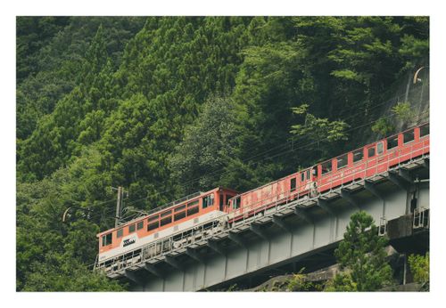 全国旅キャンプ第8弾は静岡編 アプトいちしろキャンプ場 ソロキャンプ ファミリーキャンプ グループキャンプ 区画サイト ENJOY THE OUTDOORSさんのキャンプブログ CAMPiii(キャンピー) -キャンプ専用SNS キャンプのすべてがここに集まる-