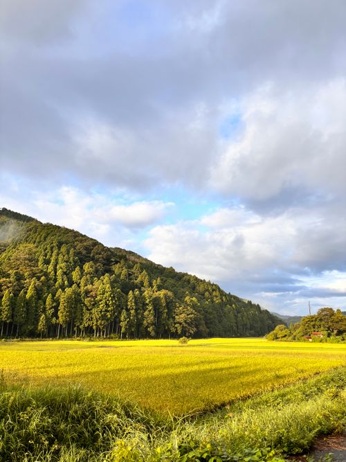 久々ホーム凱旋。 デルフリキャンプ エンジョイドローン上山田キャンプ場 グループキャンプ 区画サイト あやぴーさんのキャンプブログ CAMPiii(キャンピー) -キャンプ専用SNS キャンプのすべてがここに集まる-