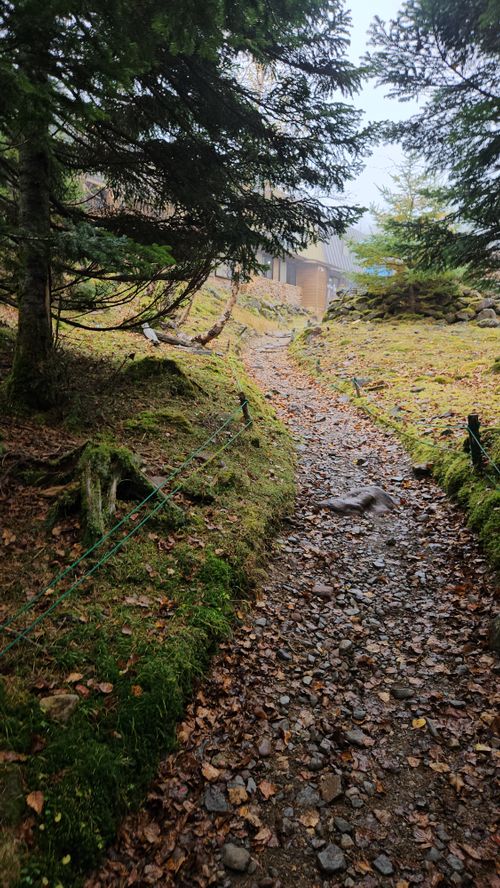 その後 日本 ソロキャンプ グループキャンプ 区画サイト フリーサイト オートサイト IZUIZUさんのキャンプブログ CAMPiii（キャンピー） -キャンプ専用SNS キャンプのすべてがここに集まる-