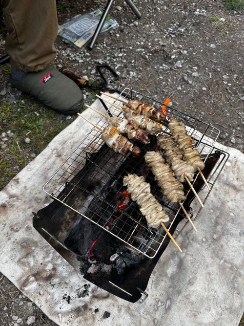 春休み、異動前キャンプ ゴリラフィールドとよのキャンプ場 GORILLA FIELD TOYONO グループキャンプ 区画サイト あやぴーさんのキャンプブログ CAMPiii（キャンピー） -キャンプ専用SNS キャンプのすべてがここに集まる-