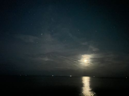 ニューテント　我慢できずの秋キャンプ 美浜町煙樹海岸キャンプ場 ソロキャンプ フリーサイト △kuuga△さんのキャンプブログ CAMPiii（キャンピー） -キャンプ専用SNS キャンプのすべてがここに集まる-