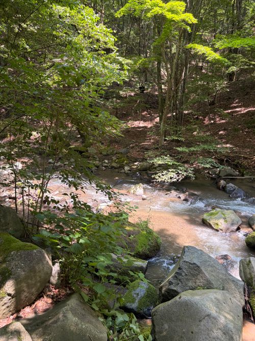 CAMPiii（キャンピー） すずしょうさんのキャンプブログ 避暑地キャンプ⛺️完ソロでした😊 浅間大滝キャンプ場