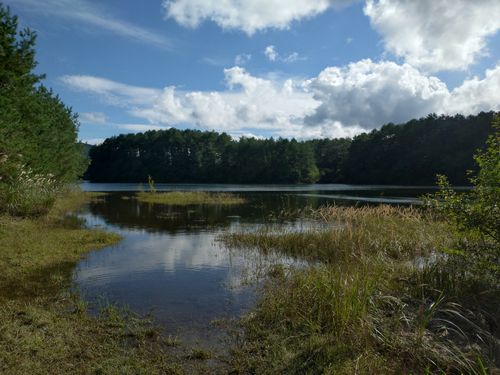 やっと来れた聖湖キャンプ場🏕️ 聖湖キャンプ場 ソロキャンプ フリーサイト ＪＩＭＭＹさんのキャンプブログ CAMPiii（キャンピー） -キャンプ専用SNS キャンプのすべてがここに集まる-