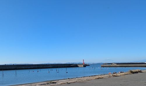 のんびり市営キャンプ　事件あり。 君津市 ソロキャンプ フリーサイト geenさんのキャンプブログ CAMPiii（キャンピー） -キャンプ専用SNS キャンプのすべてがここに集まる-