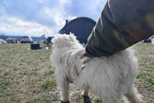 1年ぶりの、カレーの日 ふもとっぱらキャンプ場 ソロキャンプ グループキャンプ フリーサイト ぞのさんさんのキャンプブログ CAMPiii（キャンピー） -キャンプ専用SNS キャンプのすべてがここに集まる-
