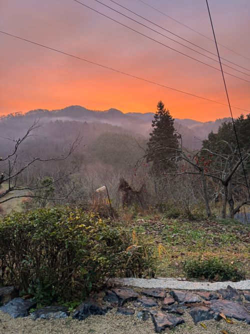 CAMPiii（キャンピー） yoshiさんのキャンプブログ 火の粉に泣いたソロキャンプ TAKIBIYA camp field