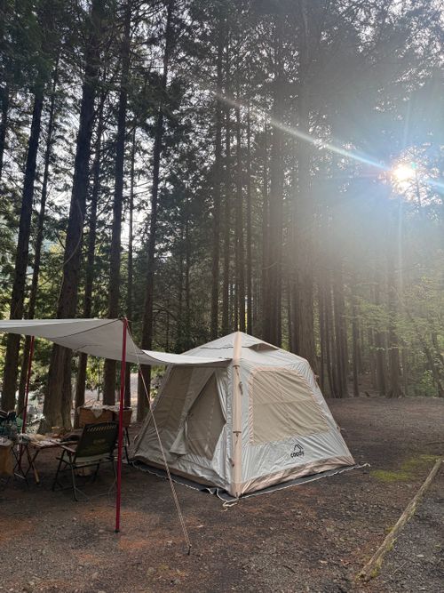 CAMPiii（キャンピー） ちはみなさんのキャンプブログ のんびりキャンプ ペンギン村 オートキャンプ場