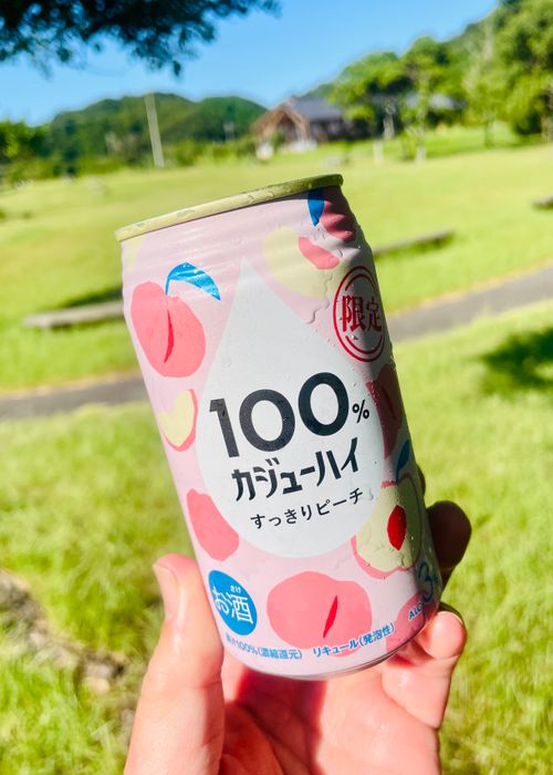 今年もワンピースを目指して来た(だに)💕 海原大冒険とお祭りで大盛り上がりのおじおばうさ海賊王キャン△ in 田万川キャンプ場 〜 CAMP NO.146 田万川キャンプ場 ファミリーキャンプ グループキャンプ フリーサイト おじキャン△さんのキャンプブログ CAMPiii(キャンピー) -キャンプ専用SNS キャンプのすべてがここに集まる-