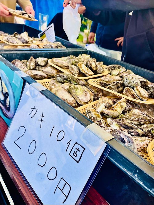秋穂の名物《車海老を喰らう》おじうさグルキャン△ in 美濃ケ浜海浜公園キャンプ場 〜 CAMP NO.160 美濃ケ浜海浜広場 ソロキャンプ ファミリーキャンプ グループキャンプ フリーサイト おじキャン△さんのキャンプブログ CAMPiii（キャンピー） -キャンプ専用SNS キャンプのすべてがここに集まる-