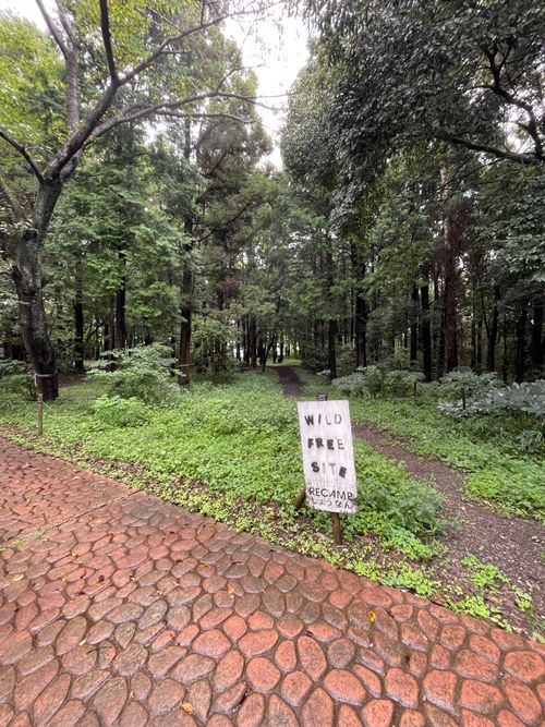 70回目のキャンプ！徒歩ソロで行く千葉にあるRECAMPしょうなんへ RECAMP しょうなん（手賀の丘公園内） ソロキャンプ フリーサイト ma9さんのキャンプブログ CAMPiii（キャンピー） -キャンプ専用SNS キャンプのすべてがここに集まる-