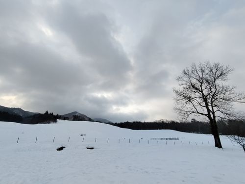 雪中が好きです 飛騨荘川 一色の森キャンプ場 ソロキャンプ グループキャンプ 区画サイト オートサイト たかたかぽんたさんのキャンプブログ CAMPiii（キャンピー） -キャンプ専用SNS キャンプのすべてがここに集まる-