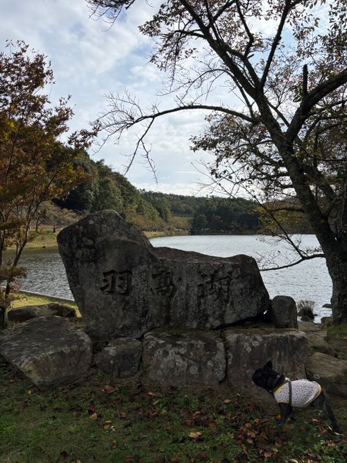CAMPiii（キャンピー） まるとらさんのキャンプブログ 天気予報大ハズレ 羽高湖森林公園キャンプ場