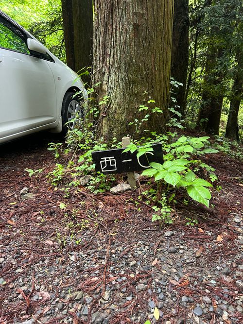 新緑キャンプ🏕 椿荘オートキャンプ場 ソロキャンプ 区画サイト Genさんのキャンプブログ CAMPiii（キャンピー） -キャンプ専用SNS キャンプのすべてがここに集まる-