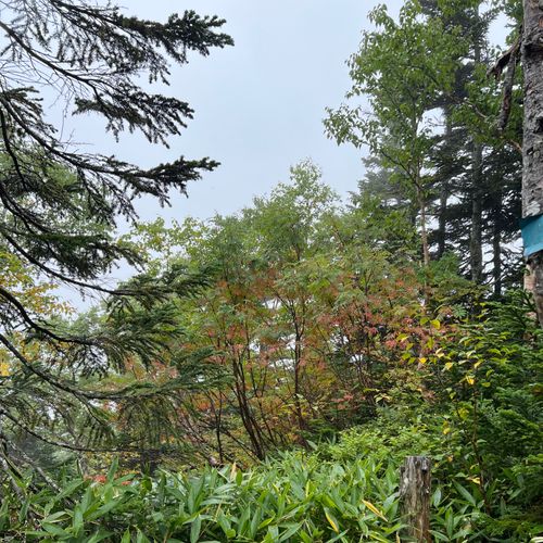 I miss HOTAKA⛰️ 徳沢キャンプ場 ソロキャンプ フリーサイト shuさんのキャンプブログ CAMPiii(キャンピー) -キャンプ専用SNS キャンプのすべてがここに集まる-