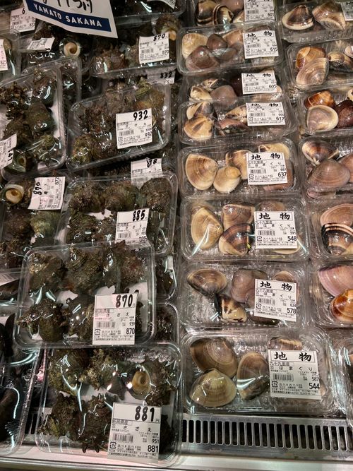 修行Camp REWILD MUSIC FES CAMP(リワイルドミュージックフェスキャンプ) ｜千葉・勝浦で音楽キャンプ＆グランピング グループキャンプ ファミリーキャンプ 区画サイト つばぱさんのキャンプブログ CAMPiii（キャンピー） -キャンプ専用SNS キャンプのすべてがここに集まる-