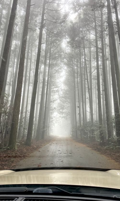 　　　　　　　　　　　富士山は何処に？ やまぼうしオートキャンプ場 ソロキャンプ フリーサイト EJIさんのキャンプブログ CAMPiii（キャンピー） -キャンプ専用SNS キャンプのすべてがここに集まる-