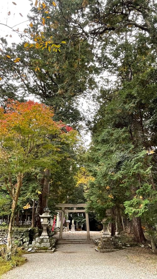 お伊勢参りキャンプ 神岳テラス ファミリーキャンプ 区画サイト フォレキャンさんのキャンプブログ CAMPiii（キャンピー） -キャンプ専用SNS キャンプのすべてがここに集まる-