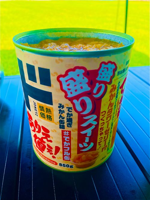 初めてのキャンプ場?でおじうさ+○○キャン△ in 阿川ほうせんぐり海浜公園 〜 CAMP NO.149 阿川ほうせんぐり海浜公園 ソロキャンプ ファミリーキャンプ フリーサイト おじキャン△さんのキャンプブログ CAMPiii(キャンピー) -キャンプ専用SNS キャンプのすべてがここに集まる-