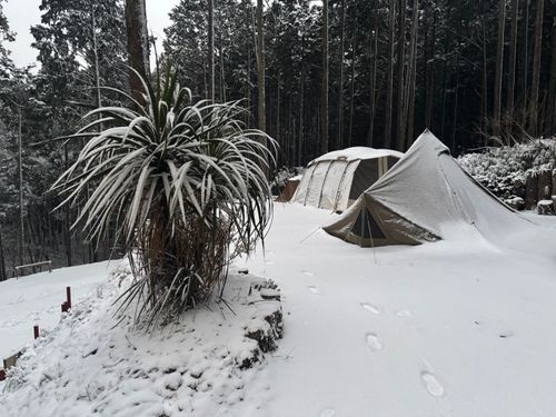 今年の初きゃんは〝まさか〟の連続&hellip; the veg out グループキャンプ オートサイト まつけんさんのキャンプブログ CAMPiii（キャンピー） -キャンプ専用SNS キャンプのすべてがここに集まる-