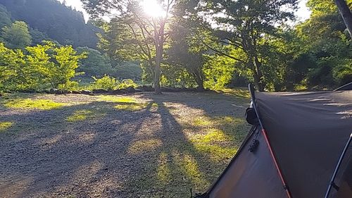 6月のアレコレ🏕 ソロキャンプ ファミリーキャンプ 夢見るクマさんのキャンプブログ CAMPiii（キャンピー） -キャンプ専用SNS キャンプのすべてがここに集まる-