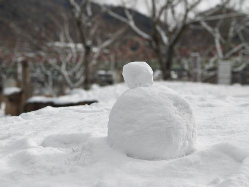 ここは、処！？ 笠置キャンプ場 ソロキャンプ グループキャンプ フリーサイト ぞのさんさんのキャンプブログ CAMPiii（キャンピー） -キャンプ専用SNS キャンプのすべてがここに集まる-