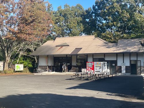 久しぶりのキャンプ リバーパーク犬飼 ファミリーキャンプ フリーサイト Shinさんのキャンプブログ CAMPiii（キャンピー） -キャンプ専用SNS キャンプのすべてがここに集まる-