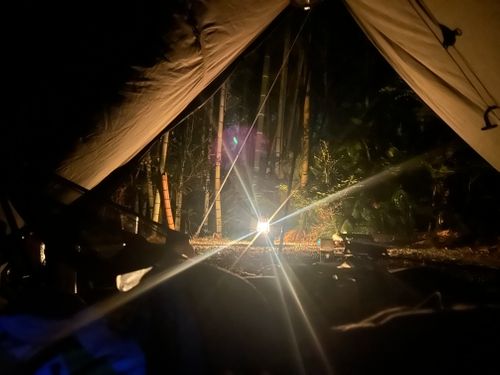 花見キャンプのはずなのに🤔 伊豆キャンパーズヴィレッジ ソロキャンプ フリーサイト Genさんのキャンプブログ CAMPiii（キャンピー） -キャンプ専用SNS キャンプのすべてがここに集まる-