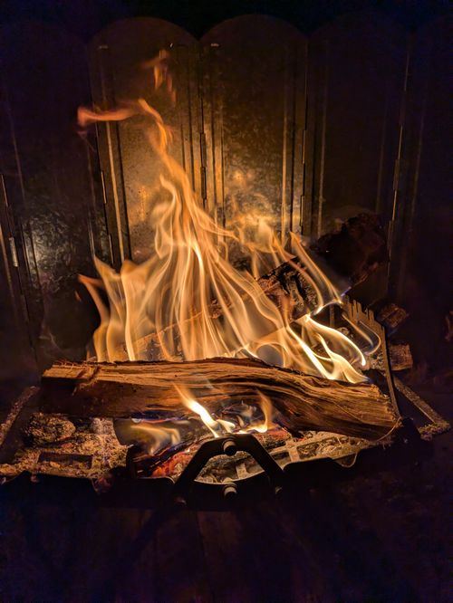 【粕汁✕ハツ串✕クラフトビール】千葉の楽々ガーデン ソロキャンプ フリーサイト MOTO△CAMPさんのキャンプブログ CAMPiii（キャンピー） -キャンプ専用SNS キャンプのすべてがここに集まる-