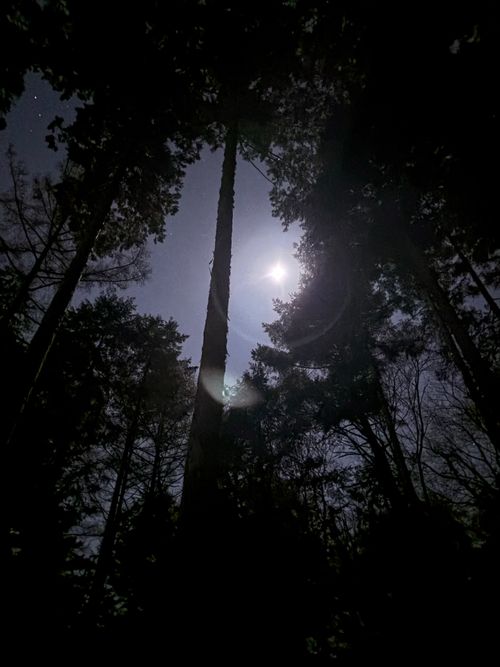 №69 オートキャンプFUJICHU ソロキャンプ 区画サイト 1711_Campさんのキャンプブログ CAMPiii（キャンピー） -キャンプ専用SNS キャンプのすべてがここに集まる-