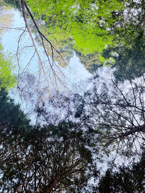 のんびりキャンプ ペンギン村 オートキャンプ場 ソロキャンプ オートサイト 区画サイト ちはみなさんのキャンプブログ CAMPiii（キャンピー） -キャンプ専用SNS キャンプのすべてがここに集まる-