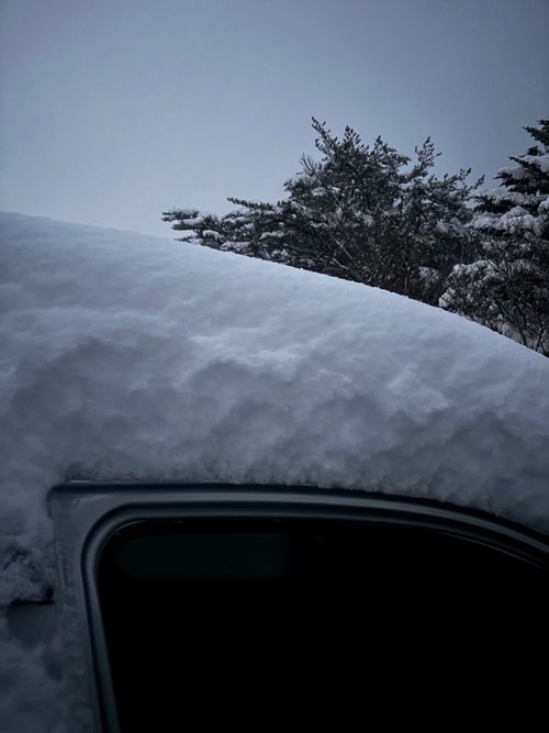 積雪｢ゼロcm」からの➡️➡️➡️➡️暴風のち災害級大雪キャンプ⛄️ 塩原グリーンビレッジ Oniyomeさんのキャンプブログ CAMPiii（キャンピー） -キャンプ専用SNS キャンプのすべてがここに集まる-