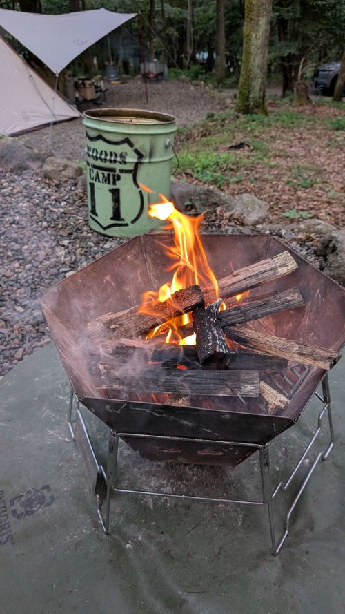 クワガタ捕獲大作戦リベンジキャンプ🏕️ CAMP&times;WOODS ファミリーキャンプ 区画サイト オートサイト ヒゲキャンさんのキャンプブログ CAMPiii（キャンピー） -キャンプ専用SNS キャンプのすべてがここに集まる-