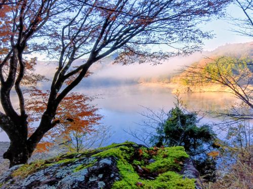 RALLY JAPAN 2025 三河湖SS を辿るキャンプ 三河湖やまびこキャンプ場 ソロキャンプ 区画サイト ｷｬﾑﾗｰ@RMS099さんのキャンプブログ CAMPiii（キャンピー） -キャンプ専用SNS キャンプのすべてがここに集まる-