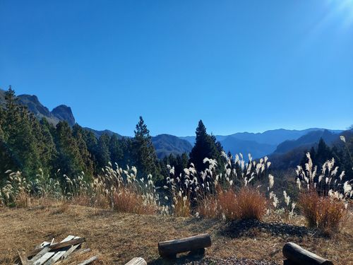 いきなり電車乗り遅れ💦 One and…Nanmoku Another BASE ソロキャンプ 区画サイト ひろ16さんのキャンプブログ CAMPiii（キャンピー） -キャンプ専用SNS キャンプのすべてがここに集まる-