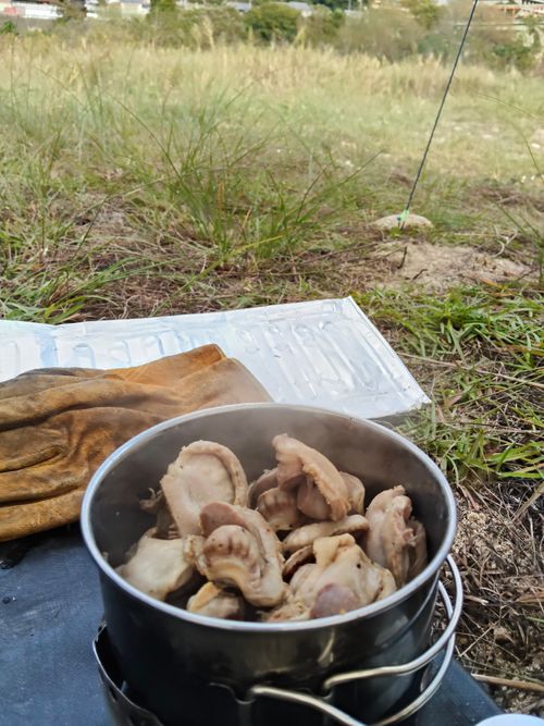 ちょっとハイク 笠置キャンプ場 ソロキャンプ フリーサイト おっとまんSさんのキャンプブログ CAMPiii（キャンピー） -キャンプ専用SNS キャンプのすべてがここに集まる-