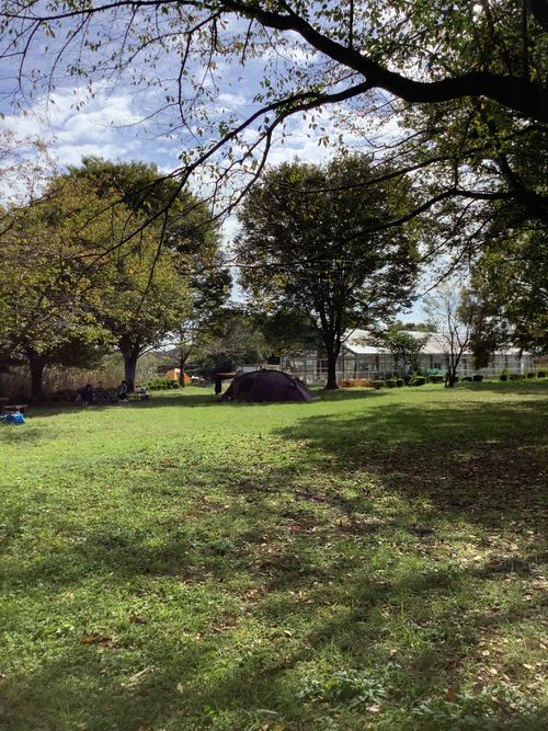 Vol.104 25/NO.23　いつもの場所でお肉焼く‼️ 坂戸市 ソロキャンプ フリーサイト 🔥焚き火🔥さんのキャンプブログ CAMPiii（キャンピー） -キャンプ専用SNS キャンプのすべてがここに集まる-