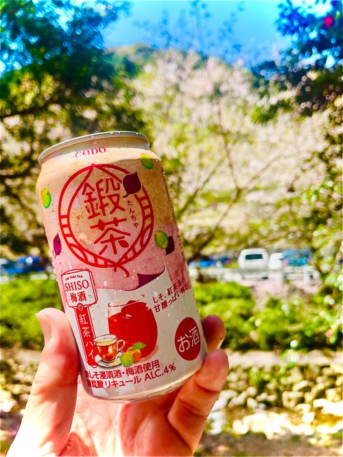 桜🌸を諦めきれないおばちゃんの付き添いおじおばうさキャン△ in 深坂自然の森キャンプ場 〜 CAMP NO.184 深坂自然の森キャンプ場 ファミリーキャンプ グループキャンプ 区画サイト おじキャン△さんのキャンプブログ CAMPiii（キャンピー） -キャンプ専用SNS キャンプのすべてがここに集まる-