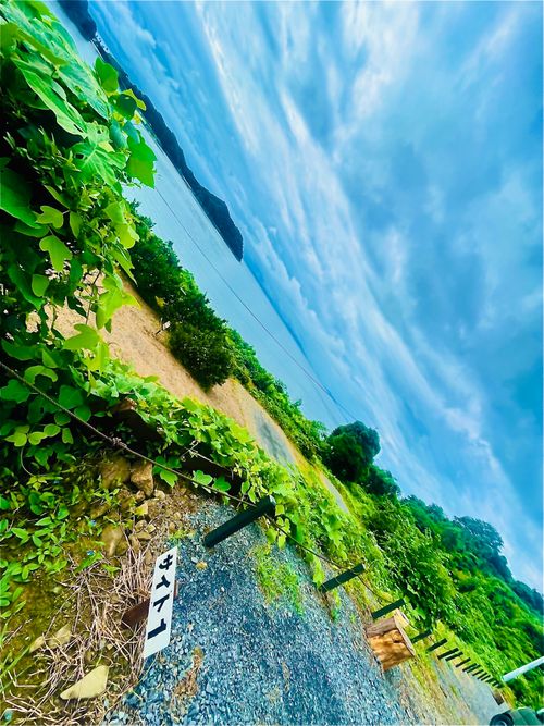 『キャンプは心の栄養よ❤️』お疲れのおじおばうさキャン△ in かじかじテラスCAMPFIELD 〜　CAMP NO.153 かじかじテラスcampfield ファミリーキャンプ グループキャンプ 区画サイト おじキャン△さんのキャンプブログ CAMPiii（キャンピー） -キャンプ専用SNS キャンプのすべてがここに集まる-