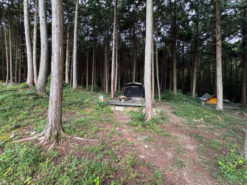 丹波悠遊の森 丹波悠遊の森 ファミリーキャンプ 区画サイト yoji@campさんのキャンプブログ CAMPiii（キャンピー） -キャンプ専用SNS キャンプのすべてがここに集まる-