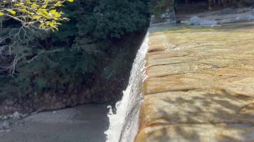 朝明渓魚苑キャンプ場 朝明渓魚苑キャンプ場 ソロキャンプ HOTさんのキャンプブログ CAMPiii（キャンピー） -キャンプ専用SNS キャンプのすべてがここに集まる-