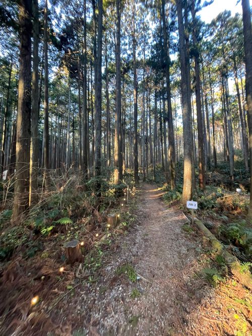 徒歩ソロで行く、いこいの森 RECAMP おだわら 小田原市いこいの森 RECAMP おだわら ソロキャンプ 区画サイト ma9さんのキャンプブログ CAMPiii（キャンピー） -キャンプ専用SNS キャンプのすべてがここに集まる-