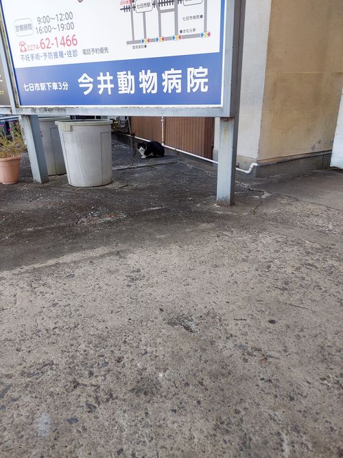 酔っぱらって夜なにしてたのかよくわからないキャンプ⛺ One and…Nanmoku Another BASE ソロキャンプ 区画サイト ひろ16さんのキャンプブログ CAMPiii（キャンピー） -キャンプ専用SNS キャンプのすべてがここに集まる-