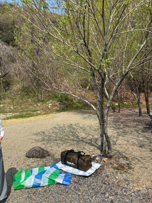 CAMPiii（キャンピー） だいコロッケさんのキャンプブログ ここをキャンプ地とする‼️   キャンプ初投稿&新幕設営‼️ 伊木山フォレスト