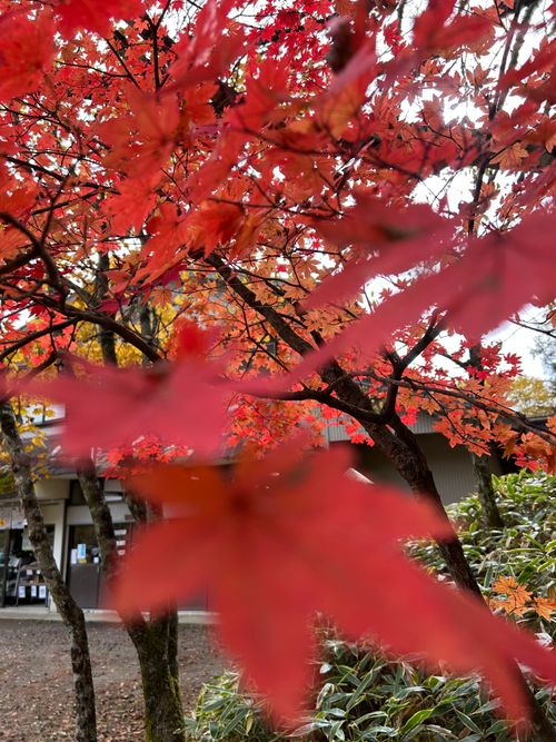 誘われて大菩薩嶺(自分は車中泊😆) 大菩薩嶺 ソロキャンプ グループキャンプ Genさんのキャンプブログ CAMPiii（キャンピー） -キャンプ専用SNS キャンプのすべてがここに集まる-