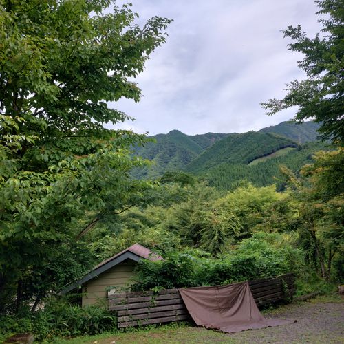 健忘録（2泊3日）息子も一緒 ニュー田代オートキャンプ場 ファミリーキャンプ 区画サイト こば  さんのキャンプブログ CAMPiii（キャンピー） -キャンプ専用SNS キャンプのすべてがここに集まる-